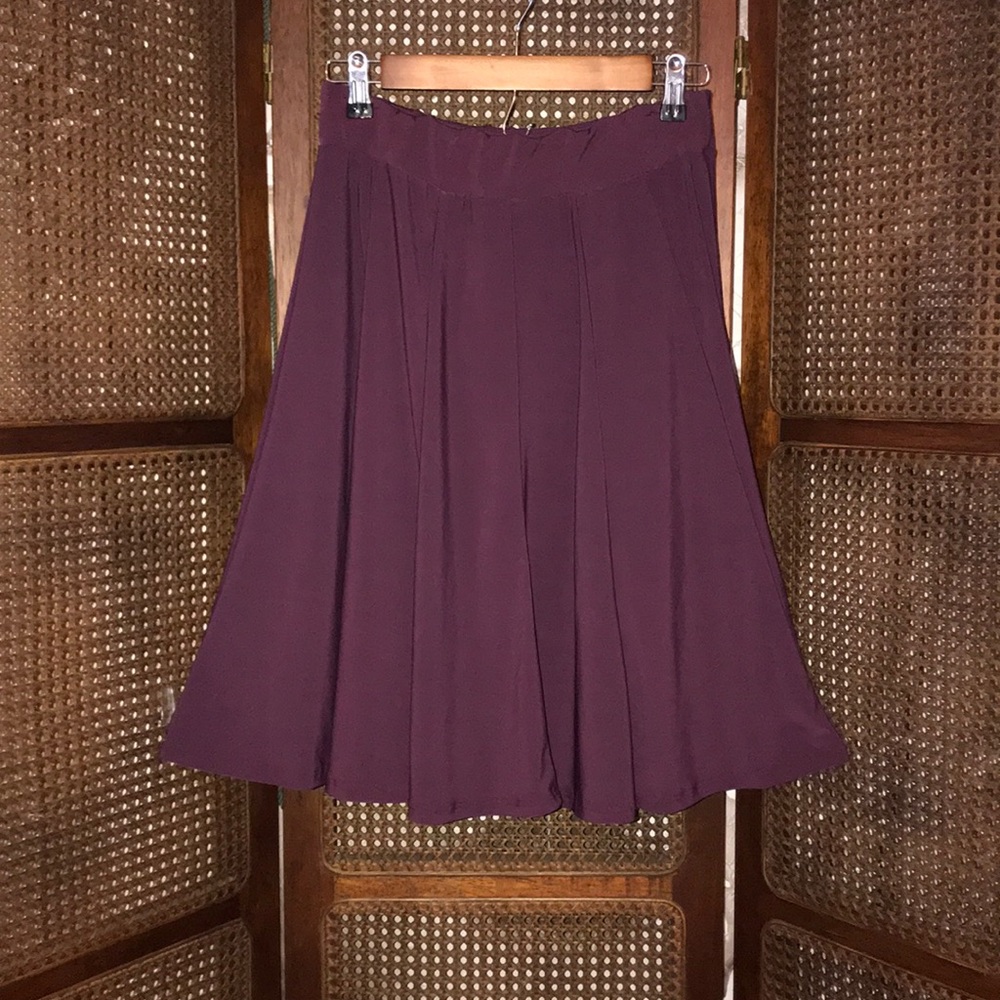 New! Avital Paneled Skirt